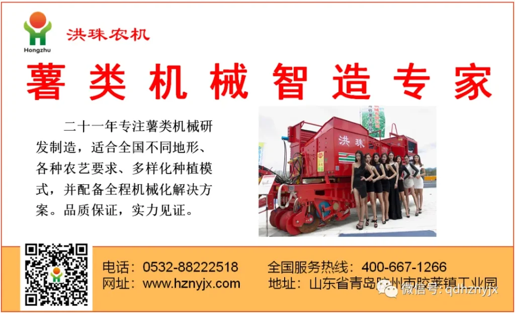 【2021新款】青岛洪珠2CM-1H单垄双行红薯起垄机