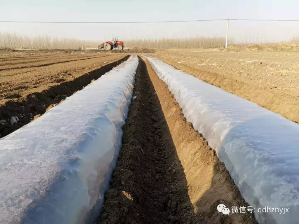 2CM-2/4H双垄四行红薯起垄机