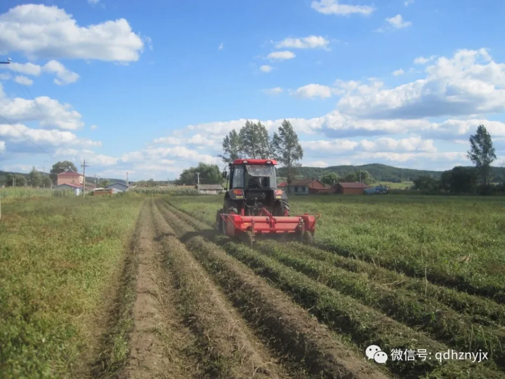 青岛洪珠1JH-210型杀秧机