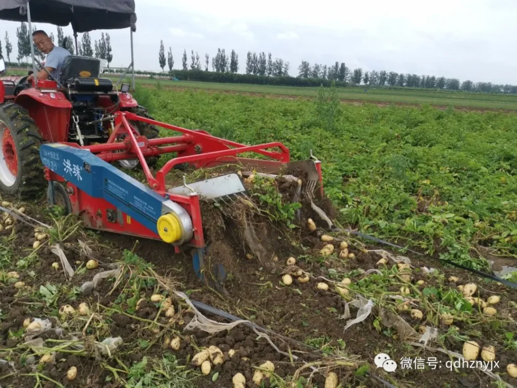 4U-160D新款动刀薯类收获机