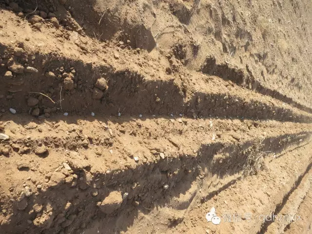 2CM-4W微型薯播种机