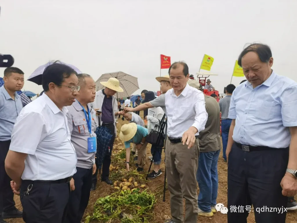 青岛洪珠助力马铃薯生产全程机械化作业演示成功举办