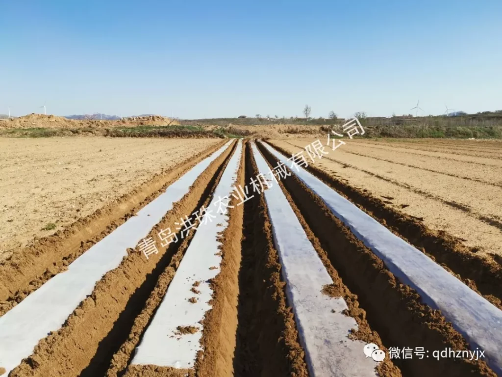 2CM-2/1H型双垄单行红薯起垄机